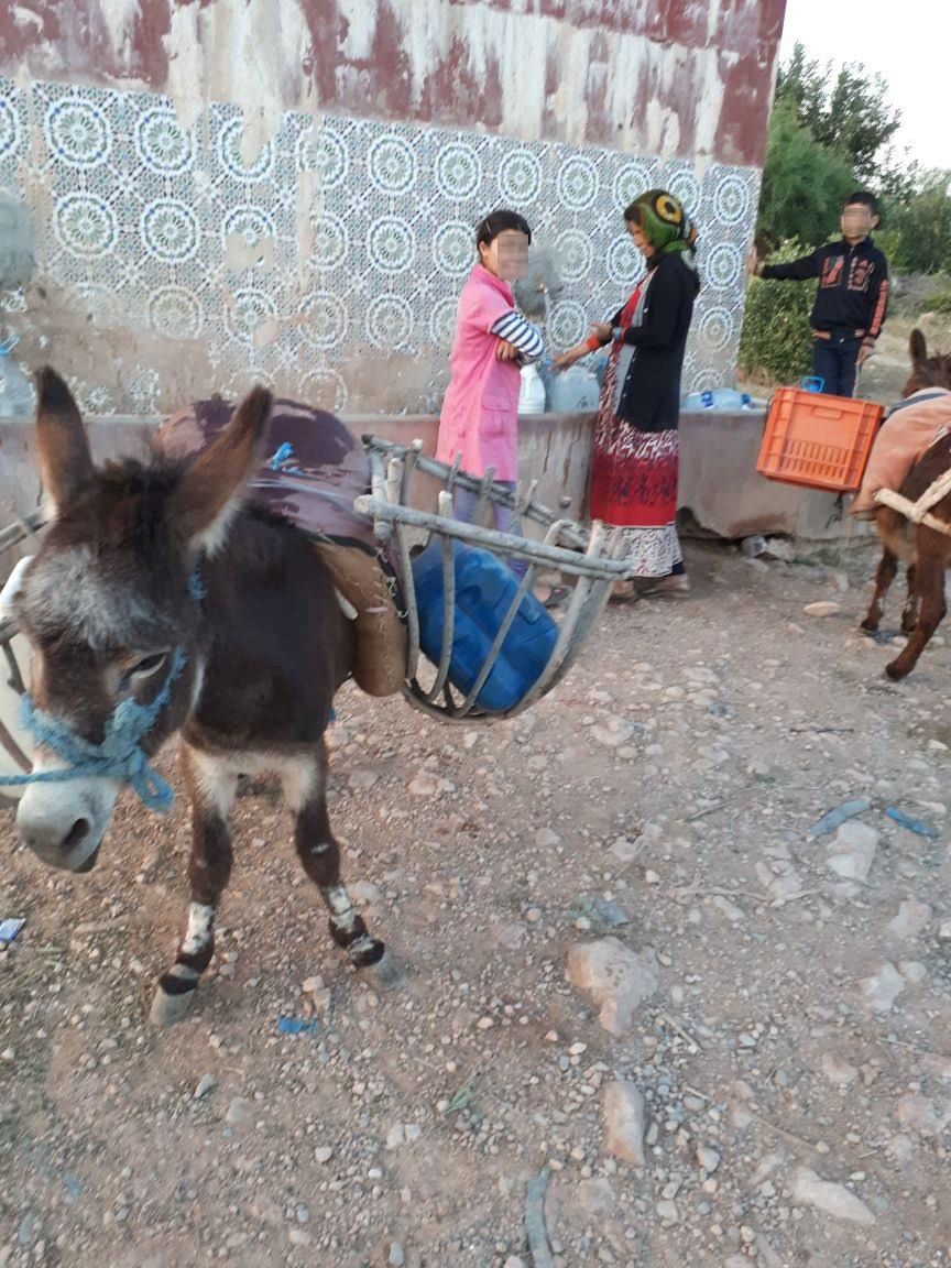 Dschabal Mai 2018 Mit dem Esel zur Trinkwasserstelle